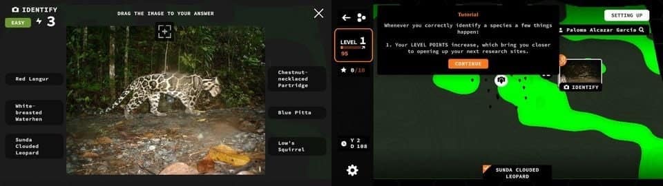 صورة لـ موقع ويب سيُعلمك عن الحياة البرية المُهددة بالانقراض من خلال الألعاب التفاعلية | 1eUpGdJJDxifGoYzpnTttFA-DzTechs