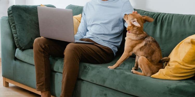 صورة لـ كيف تجد لنفسك الوظيفة المثالية في خطوات بسيطة | 1-a72Io7ZSFHv0rIjmHZvVw-DzTechs