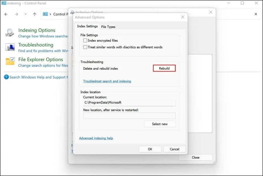 صورة لـ كيفية إصلاح خطأ “تم إيقاف الفهرسة مُؤقتًا” على Windows 11 | 1kHlSUYGZdUDbDr9rWnpZEQ-DzTechs