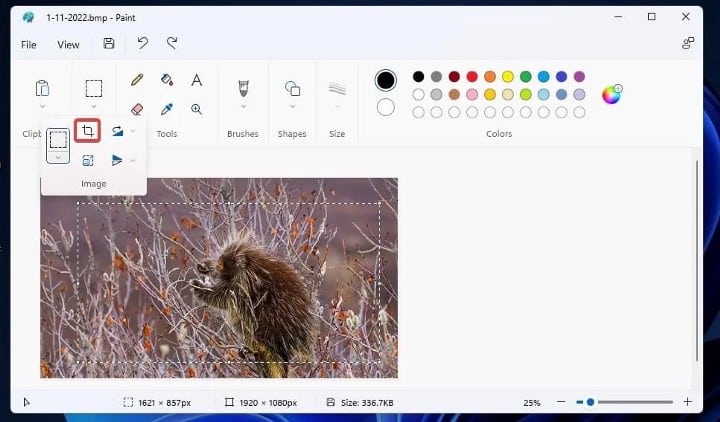 صورة لـ أفضل الطرق لضغط ملفات الصور في Windows 11 و 10 | 1mjc4T8LbBKqcElxIClanMA-DzTechs