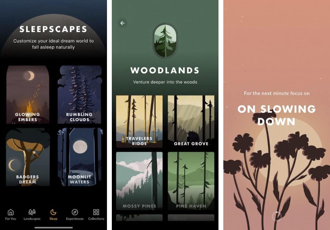 صورة لـ أفضل التطبيقات للاستماع إلى أصوات الطبيعة الهادئة على iOS | 1Nzj5XGmo1HjbGFVnTdetsQ-DzTechs