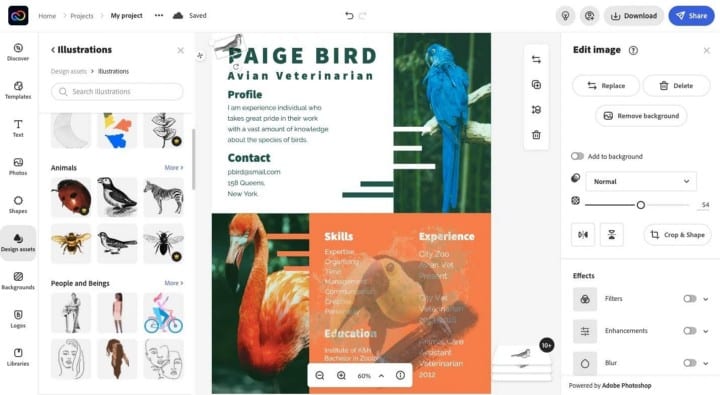 صورة لـ كيفية إنشاء سيرة ذاتية باستخدام Adobe Express في خطوات سهلة | 1R4D-jg6dwi_BqIW9Wk5uxQ-DzTechs
