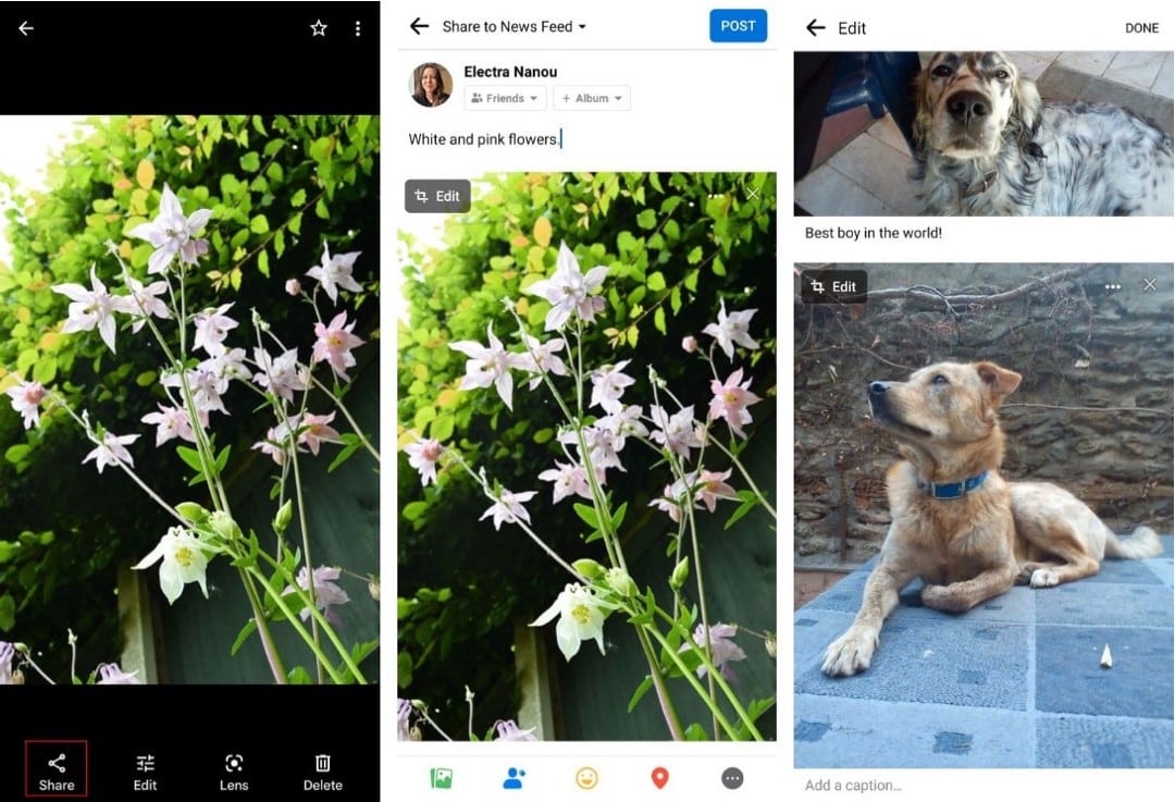 صورة لـ كيفية إدراج شرح توضيحي للصور تلقائيًا عند تحميلها على Facebook | 1vRJmPc16Swy0qXp9IvmQ1Q-DzTechs