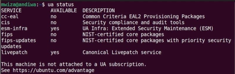 صورة لـ لماذا يجب أن تُفضل Ubuntu LTS على الإصدارات العادية | 1vg0ZjiQGBSOD2PamauIpeQ-DzTechs