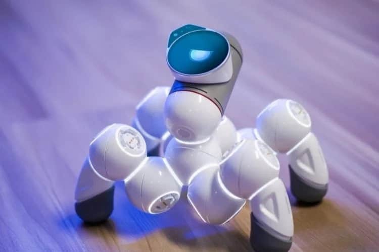 صورة لـ هل يحتاج المنزل الذكي إلى روبوت ذكي؟ | 17lBbu2aSuaemtgpe6-jnWw-DzTechs