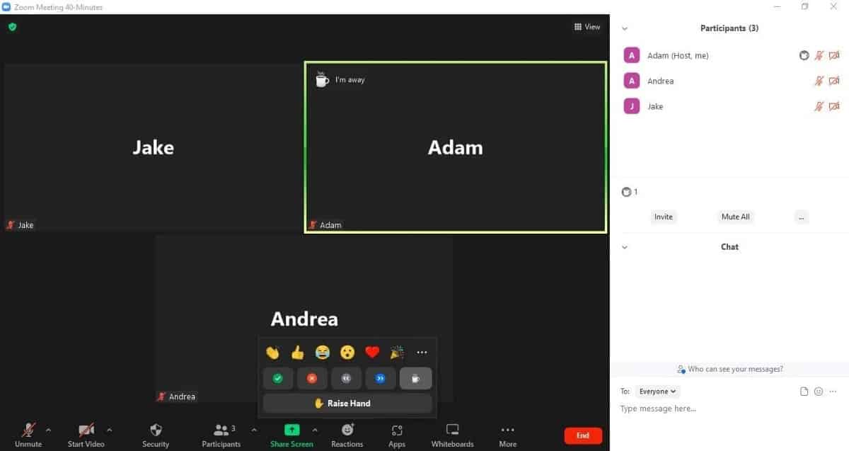 صورة لـ كيفية استخدام ردود الفعل أثناء الاجتماع في Zoom للحصول على تعليقات | 1ACg7S27URrfq7iw3HT5SEQ-DzTechs
