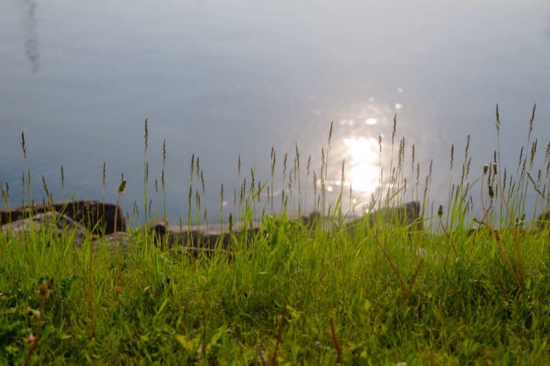 صورة لـ ما يجب فعله وما لا يجب فعله في تصوير الماكرو | 1wFqUuQ6SG0Q3Ulb1JLF8aQ-DzTechs