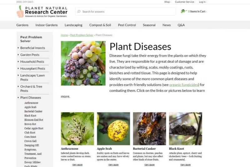 صورة لـ نصائح للمساعدة في تحسين البستنة باستخدام التكنولوجيا | 1tasRLSgkTuqJZ7uYcGeNHQ-DzTechs