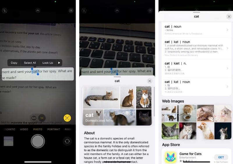 صورة لـ طرق مُفيدة لاستخدام الماسح الضوئي للنص على الـ iPhone الخاص بك | 1S0zBrW5f1LHKaDNlYOyZPA-DzTechs