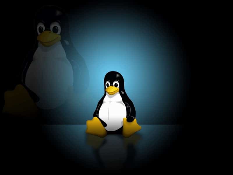 صورة لـ أفضل تطبيقات Linux لتنزيل الخلفيات وإدارتها | 1YROoVjcXCdpJWGtG58xgcA-DzTechs