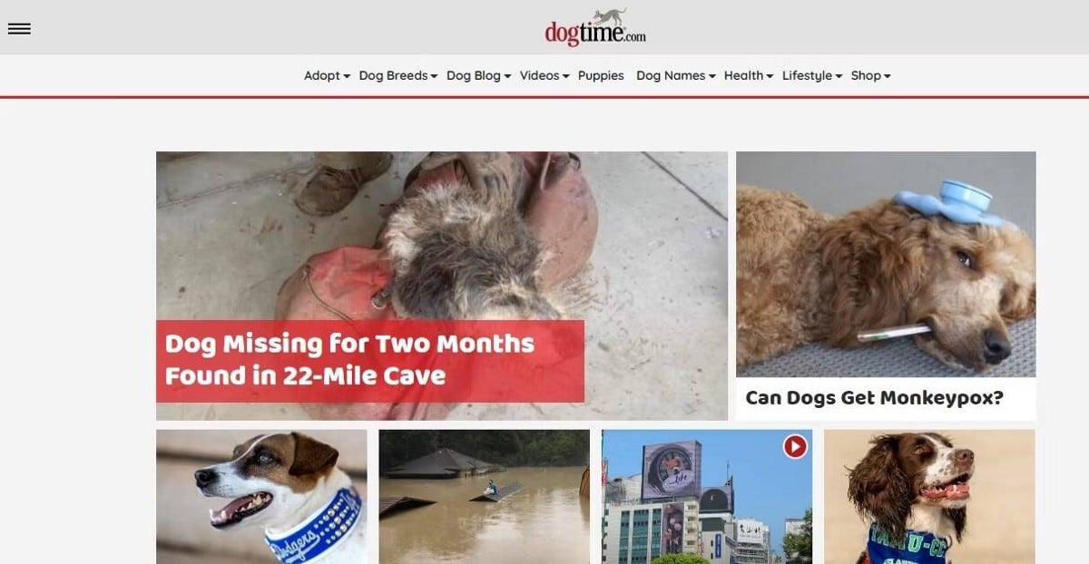 صورة لـ أفضل مواقع الويب لمُحبي الكلاب الذين لديهم أسئلة حول رعاية الحيوانات الأليفة | 1nXusQnNrKQtjhmh6MEr67Q-DzTechs