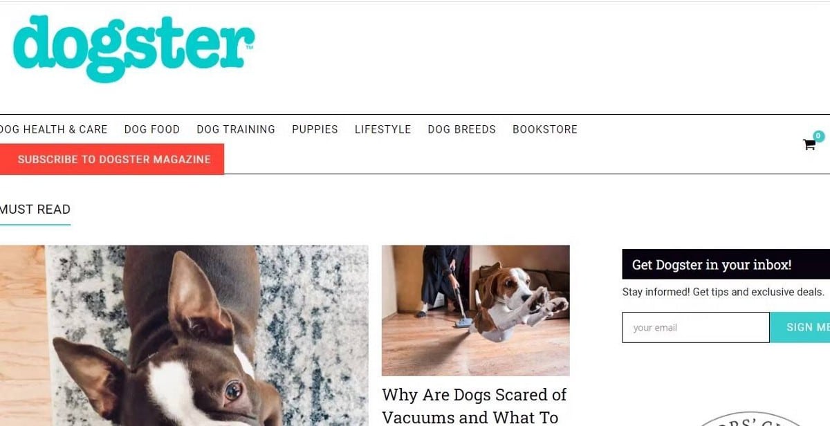 صورة لـ أفضل مواقع الويب لمُحبي الكلاب الذين لديهم أسئلة حول رعاية الحيوانات الأليفة | 1wjG38J7WNvXopzhOdbNpeA-DzTechs