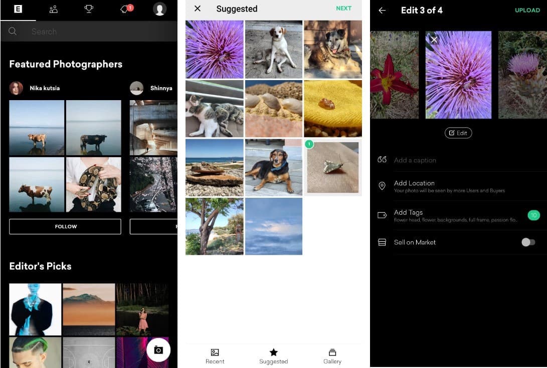 صورة لـ أفضل بدائل Instagram للمُصورين | 1havgN2NL83YhggdRZRqG9w-DzTechs