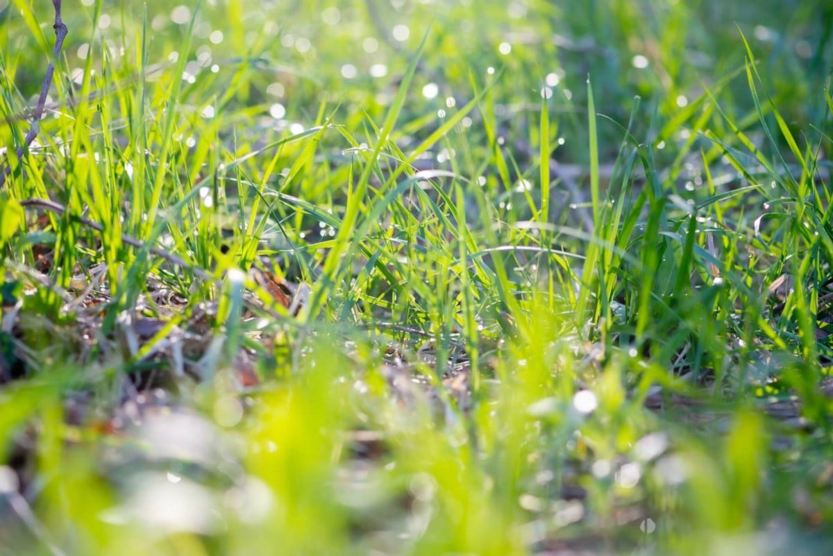 صورة لـ كيفية البدء في تصوير الطبيعة والحياة البرية: أهم النصائح | 1tDqmqwLAsV4IdyJctP2vUw-DzTechs