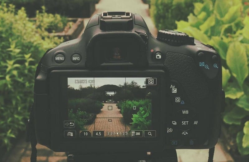 صورة لـ كيفية البدء في تصوير الطبيعة والحياة البرية: أهم النصائح | 1z2WdVy4tKHTupY4ArTxKqA-DzTechs