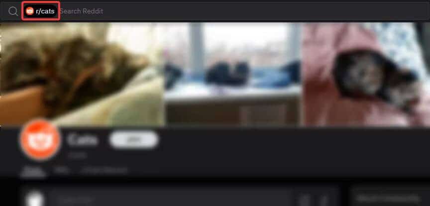 صورة لـ كيفية البحث في Reddit بشكل فعَّال: نصائح وحيل مفيدة يجب معرفتها | 10Ui3XDNxnyI234yJoI19TA-DzTechs