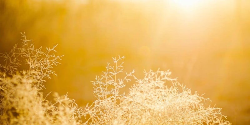 صورة لـ كيف تبدأ مع التصوير التجريدي: نصائح مُفيدة | 1_XdEn_L094onlFBtdDxXaw-DzTechs