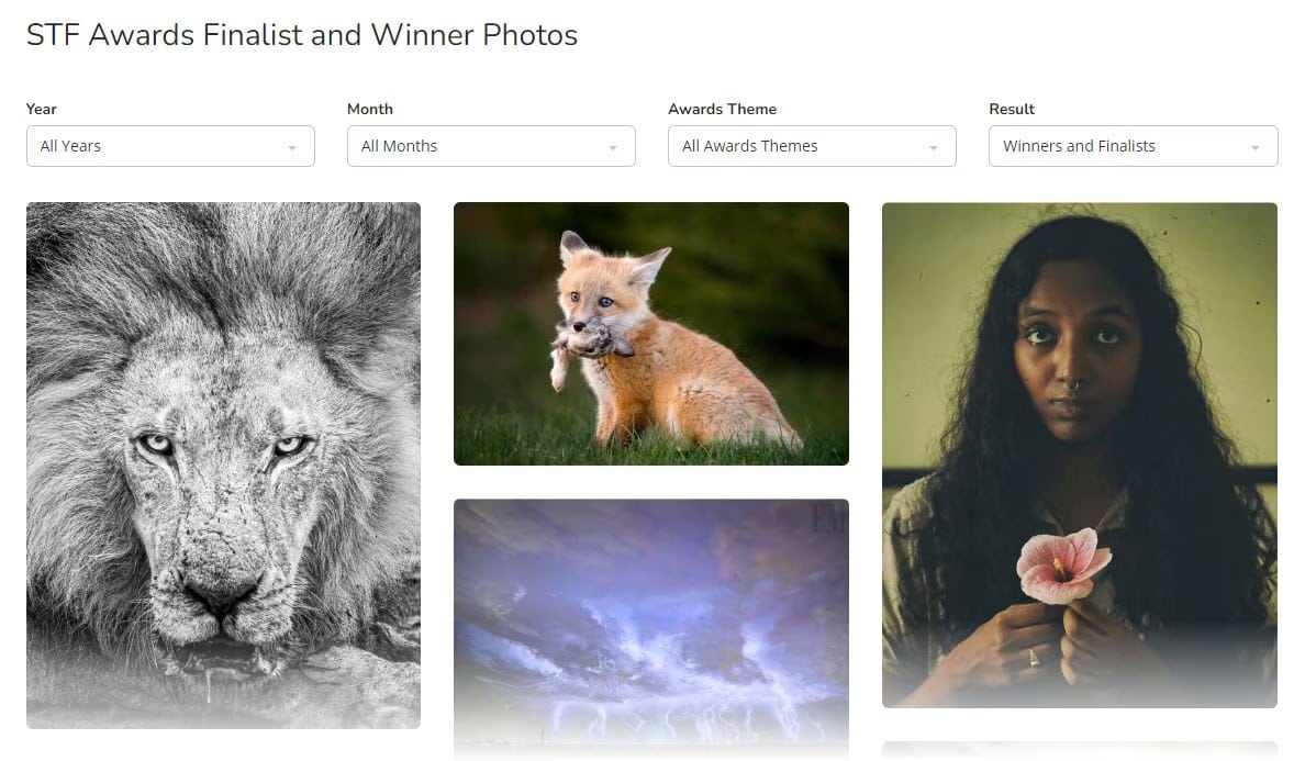 صورة لـ طرق سهلة لبدء عادة التصوير الفوتوغرافي اليوم | 1ekJqZK3ullK6-Oa1_W8_Qg-DzTechs