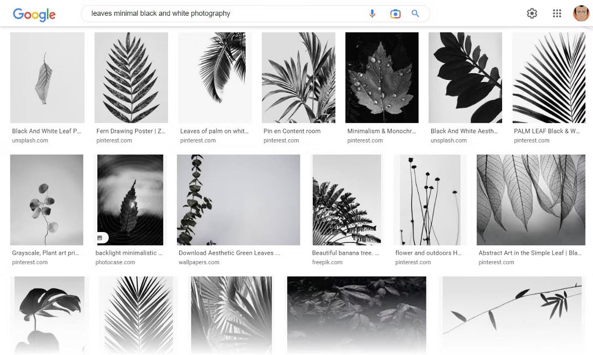 صورة لـ طرق سهلة لبدء عادة التصوير الفوتوغرافي اليوم | 1qjs0lCTZsBFwDl6jPf6q7A-DzTechs