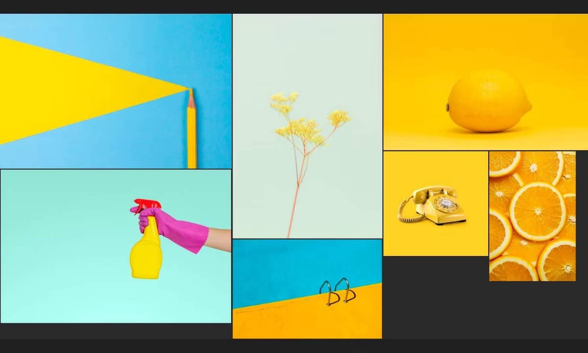 صورة لـ كيف تحافظ على تنظيم لوحة الإلهام في PureRef: بعض التلميحات | 1sbVvvZau0LTskvpC51x3qQ-DzTechs