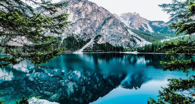 صورة لـ طرق إنشاء الإعداد المثالي لمقابلة عمل عبر الإنترنت | 1SXYllRoZHvoYPoqU2j8OGQ-DzTechs