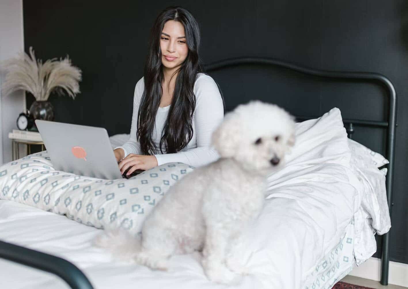 صورة لـ بدائل الإنتاجية لضياع الوقت عندما تشعر بالملل | 1eQXKyZyFu-ekXK4LkUbwjA-DzTechs