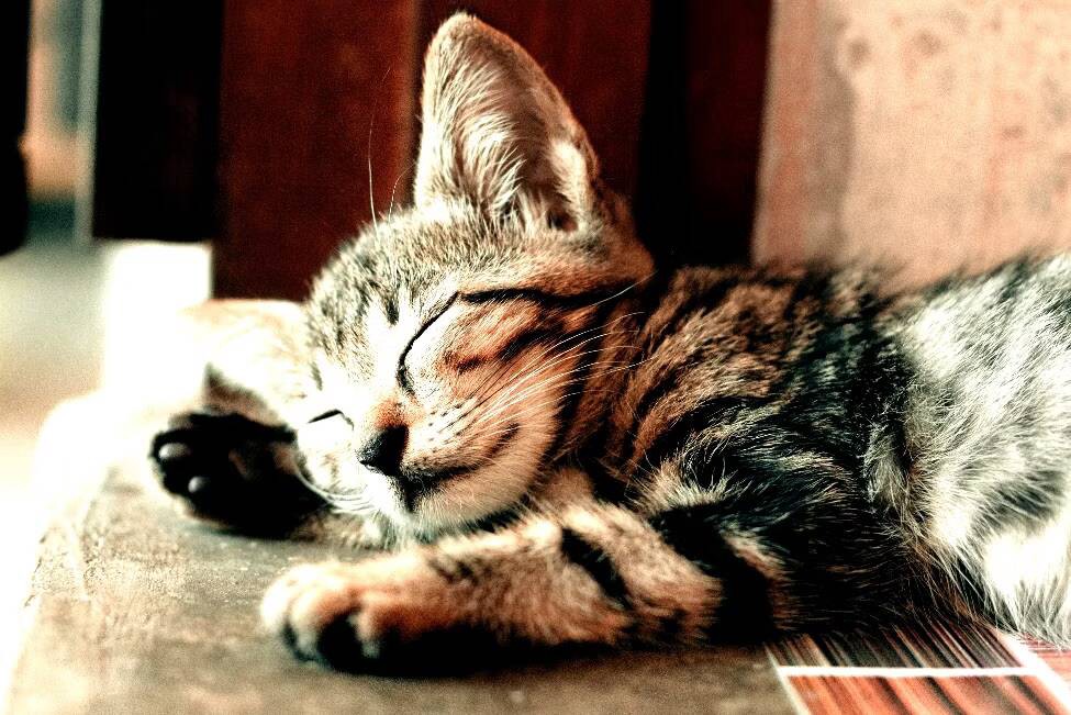 صورة لـ اتجاهات التصوير الفوتوغرافي التي يجب أن تركها في الخلف في عام 2022 | 13gluUm6-LjGFsnHYXNoZpQ-DzTechs