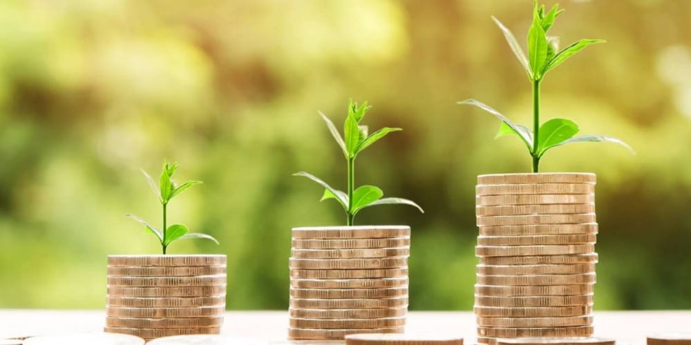 صورة لـ الأشياء التي يجب القيام بها بعد الاستغناء عن وظيفتك | 1O45lS0Xf2CnYz5XoRmftyw-DzTechs