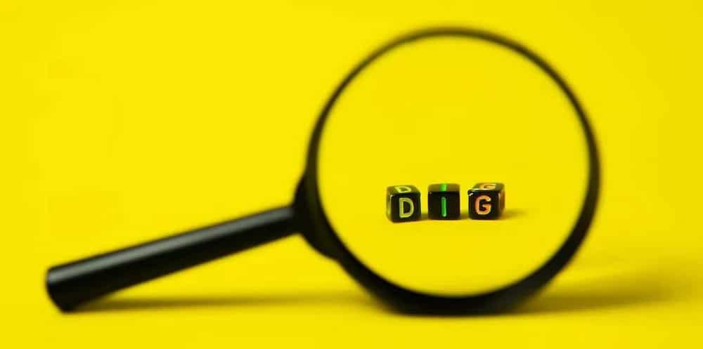 صورة لـ ما هي الشبكة العصبونية الالتفافية (CNN) وكيف تعمل؟ | 1Yf-ZtOuVYdaw1UBvTUl6-Q-DzTechs