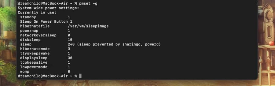 صورة لـ الأشياء التي يُمكنك القيام بها باستخدام أوامر إدارة الطاقة في Terminal | 11e-Fe8tVrSLKGYUMZdtRmg-DzTechs
