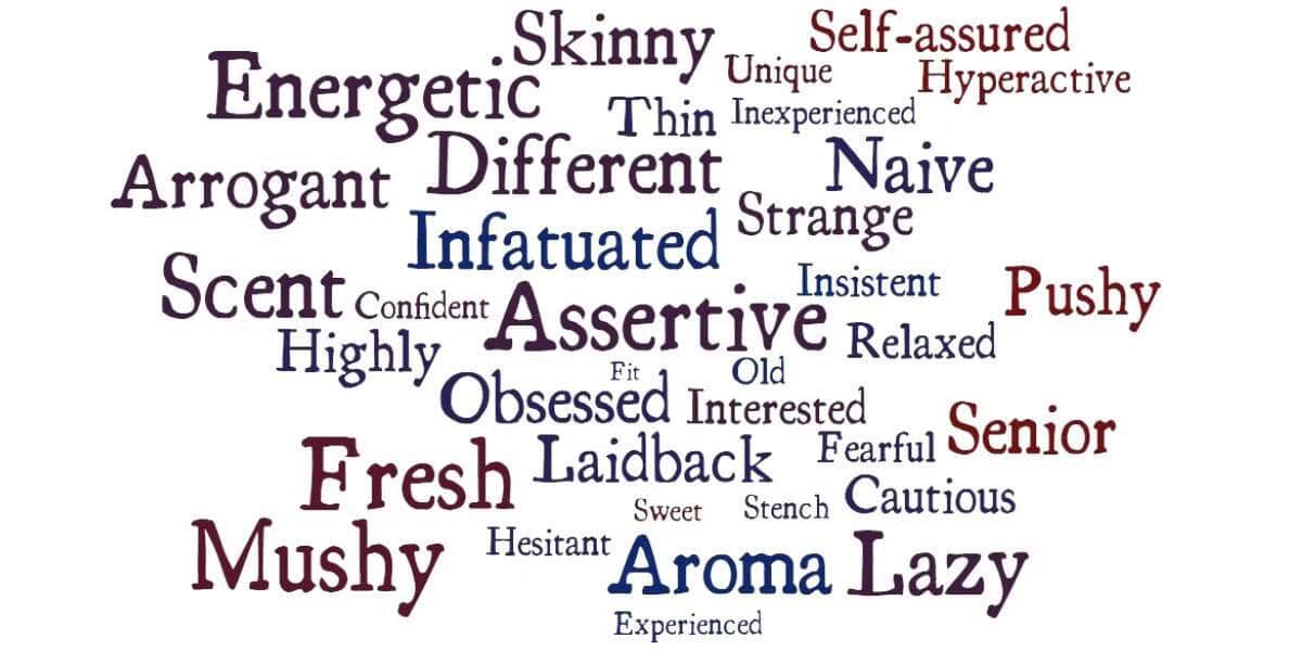 صورة لـ الأخطاء الشائعة التي يجب الانتباه إليها في رسائل البريد الإلكتروني الخاصة بالعمل | 1eDVcSsLRuqYoFqlh8mbOKA-DzTechs