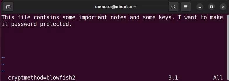 صورة لـ كيفية استخدام Vim لتشفير الملفات النصية على Linux | 1eMUjcvmjBAS0ULebmxZREQ-DzTechs