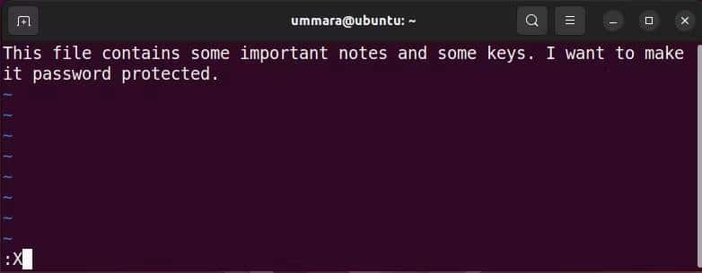 صورة لـ كيفية استخدام Vim لتشفير الملفات النصية على Linux | 1oKhd1aXdkUTOaT32d3mYNQ-DzTechs