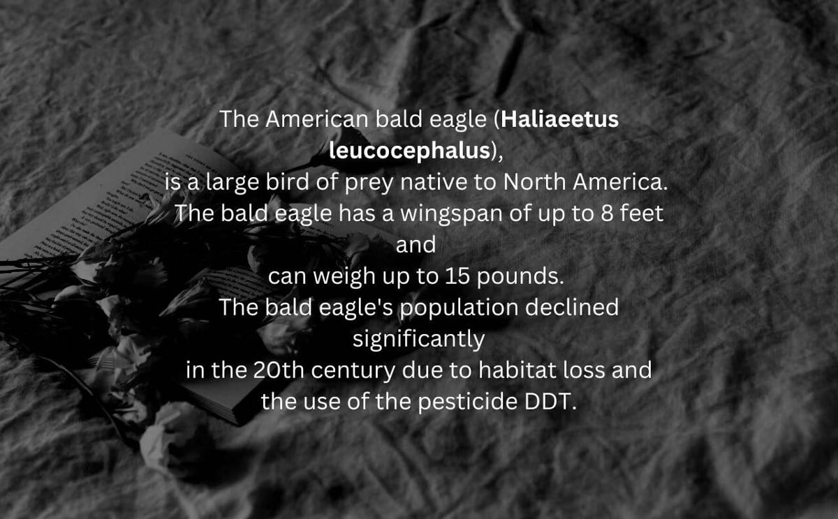 صورة لـ مخاطر كتابة المُحتوى بالذكاء الاصطناعي وكيفية اكتشاف النص الذي يُولده AI | 1jBTUD_M8rJz9sTnWPfaF-w-DzTechs