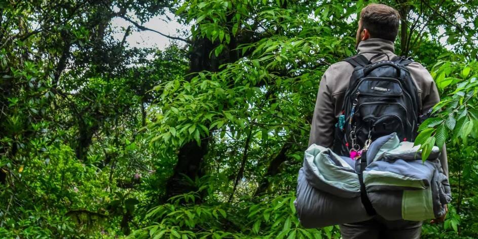 صورة لـ هل يُمكن أن يُنقذ ChatGPT حياتك في البرية؟ | 1FQzBV-jWtlh019ZPi7uP0w-DzTechs