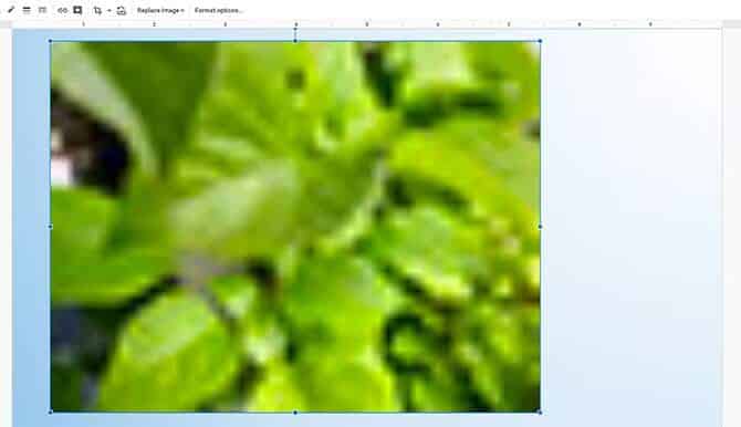 صورة لـ أخطاء في تصميم عرض الشرائح التي يجب أن تتجنبها في عرضك التقديمي القادم | 1MLkLNWrAGLijgGgpLMNVcA-DzTechs