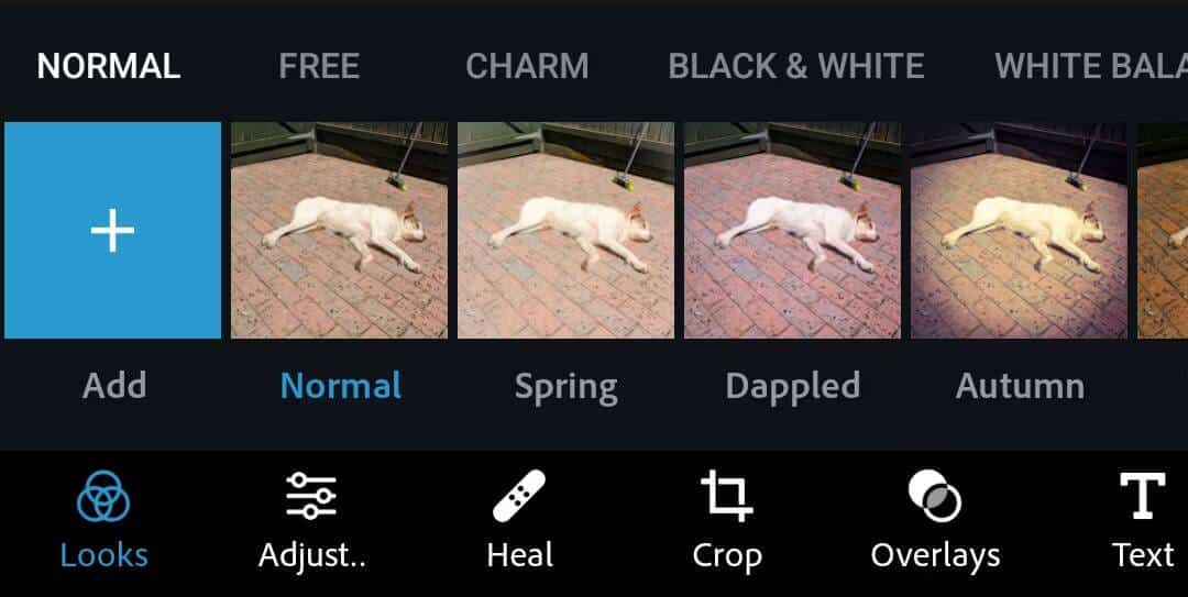 صورة لـ كيفية قلب أي صورة على Android باستخدام خيارات مُختلفة | 1REgKu_9qSXsGQRW2_njCyg-DzTechs
