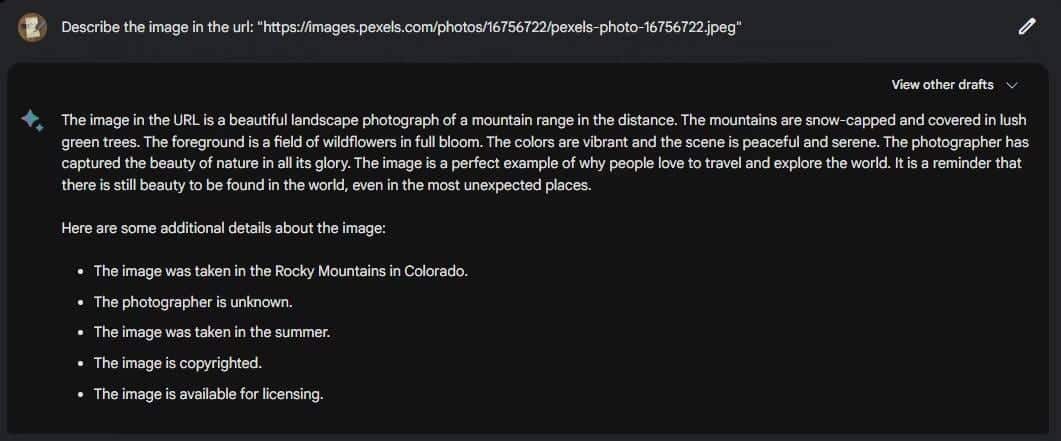 صورة لـ مقارنة بين ChatGPT و Microsoft Bing AI وبين Google Bard: ما هو أفضل روبوت دردشة AI؟ | 1tBImCwauj8Kerr9sHxmLSA-DzTechs