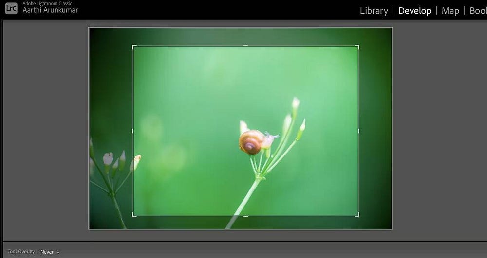 صورة لـ كيف تبدأ مع التصوير سوبر ماكرو: النصائح الرئيسية | 1EgDHlGmR9PiFLvpf-emcQw-DzTechs