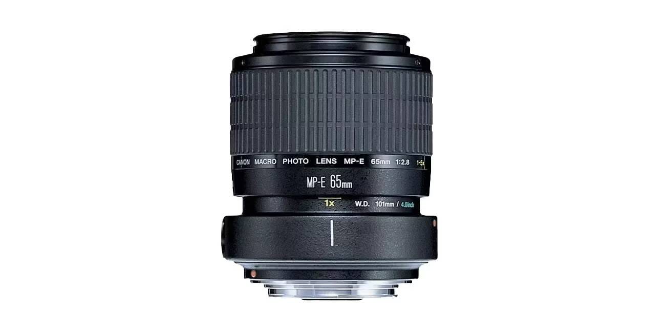 صورة لـ كيف تبدأ مع التصوير سوبر ماكرو: النصائح الرئيسية | 1KQc-FcSECv_DCjxTVKuuKA-DzTechs