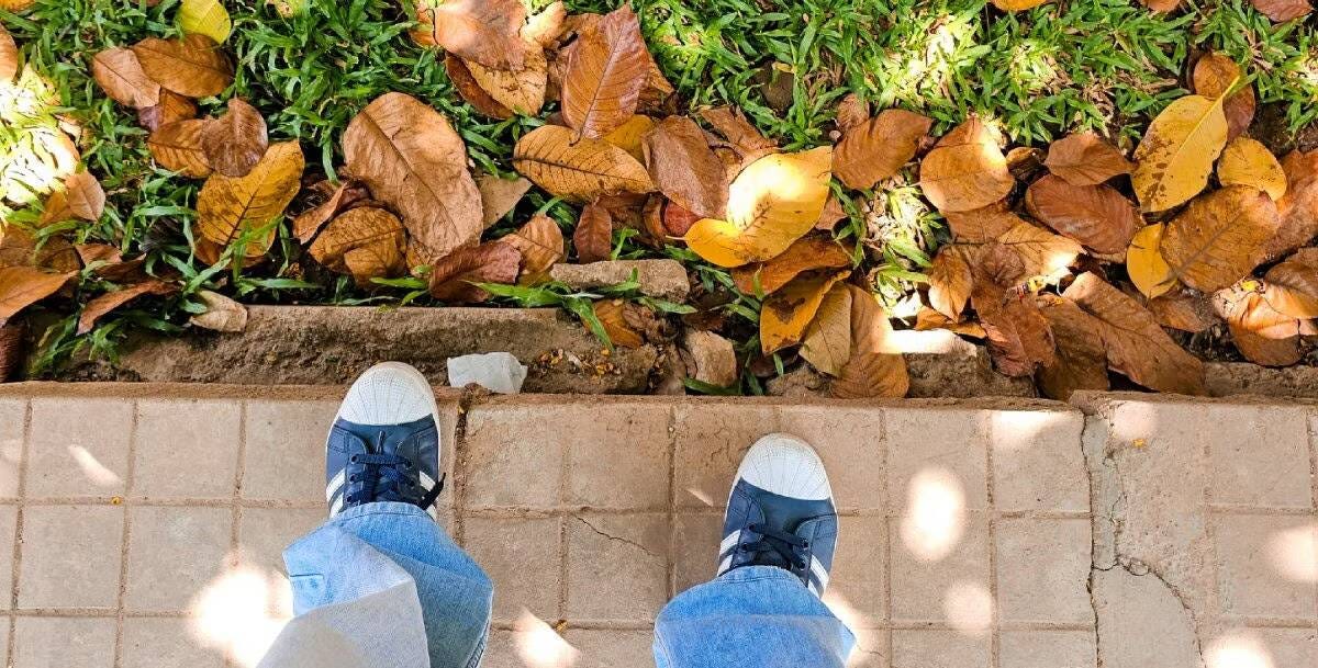 صورة لـ ما هي لقطات A-Roll؟ وكيف يُمكن لمستخدمي YouTube استخدامها بفعاليَّة | 1M0X3us1Lo4dlH61vuJweqQ-DzTechs