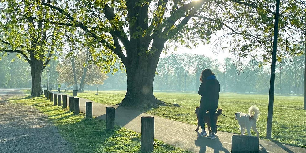 صورة لـ بدائل أفضل من التحقق من هاتفك عند الاستيقاظ من النوم صباحًا | 1MGXC8cnyYBZclHEKhtbXzQ-DzTechs