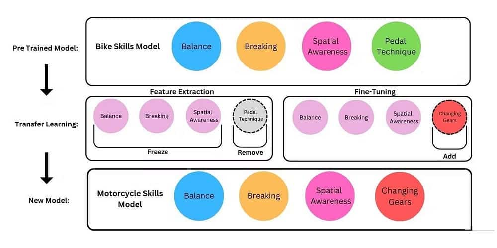 صورة لـ ما هو نقل التعلّم في الذكاء الاصطناعي وكيف يعمل؟ | 1xkC21p-tx-BNLoUZ_o0EAg-DzTechs