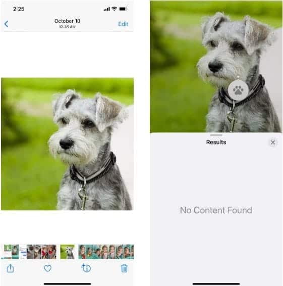 صورة لـ أسباب عدم عمل البحث العام المرئي على الـ iPhone | 1rHiKkM9nIYS3oNgSVLyO-A-DzTechs