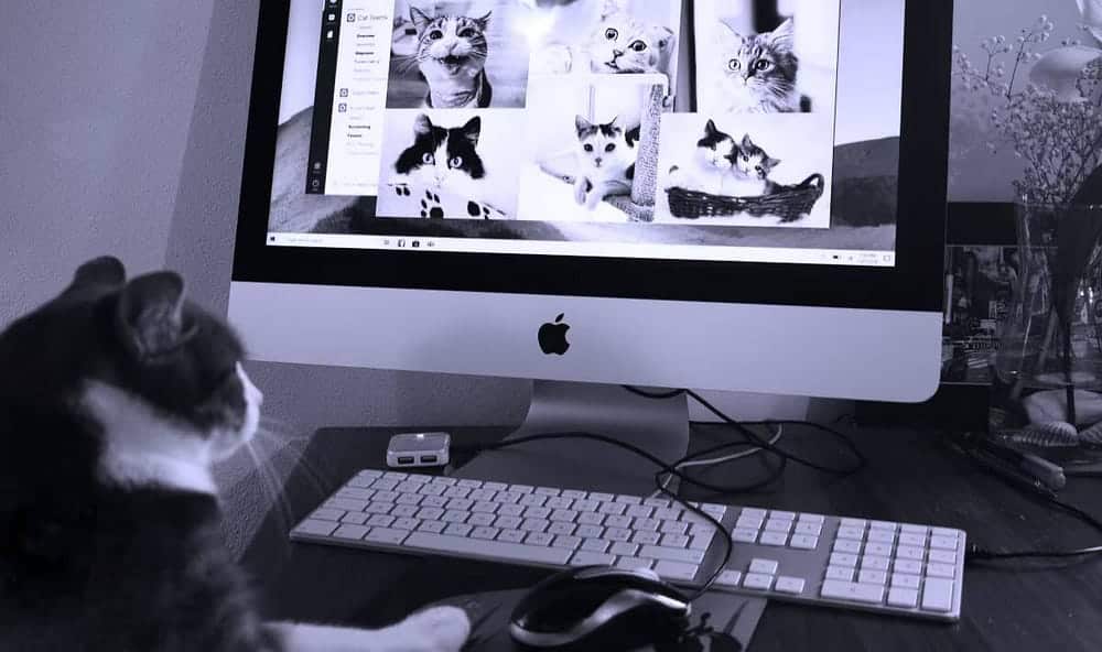 صورة لـ ما هي خدمات إزالة البيانات، وما هي البيانات التي يُمكنها محوها من الإنترنت؟ | 1GrXEEvmIYG1nvVR4YdoRsw-DzTechs