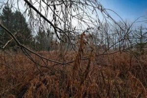 صورة لـ مراجعة Google Pixel 8: اكتشف كيف أصبح أفضل من السابق مع إضافة ميزات مُبهرة | 1AyMxO9wX6NNXLpeSKRByGg-DzTechs