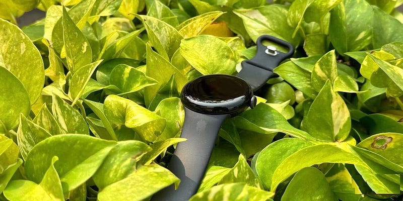 صورة لـ Pixel Watch 2: الأسباب المُقنعة للترقية وبعض الأسباب التي تجعلك ترغب في الانتظار | 1qvGqUXIt4Ru2Bm9A4O1fPQ-DzTechs