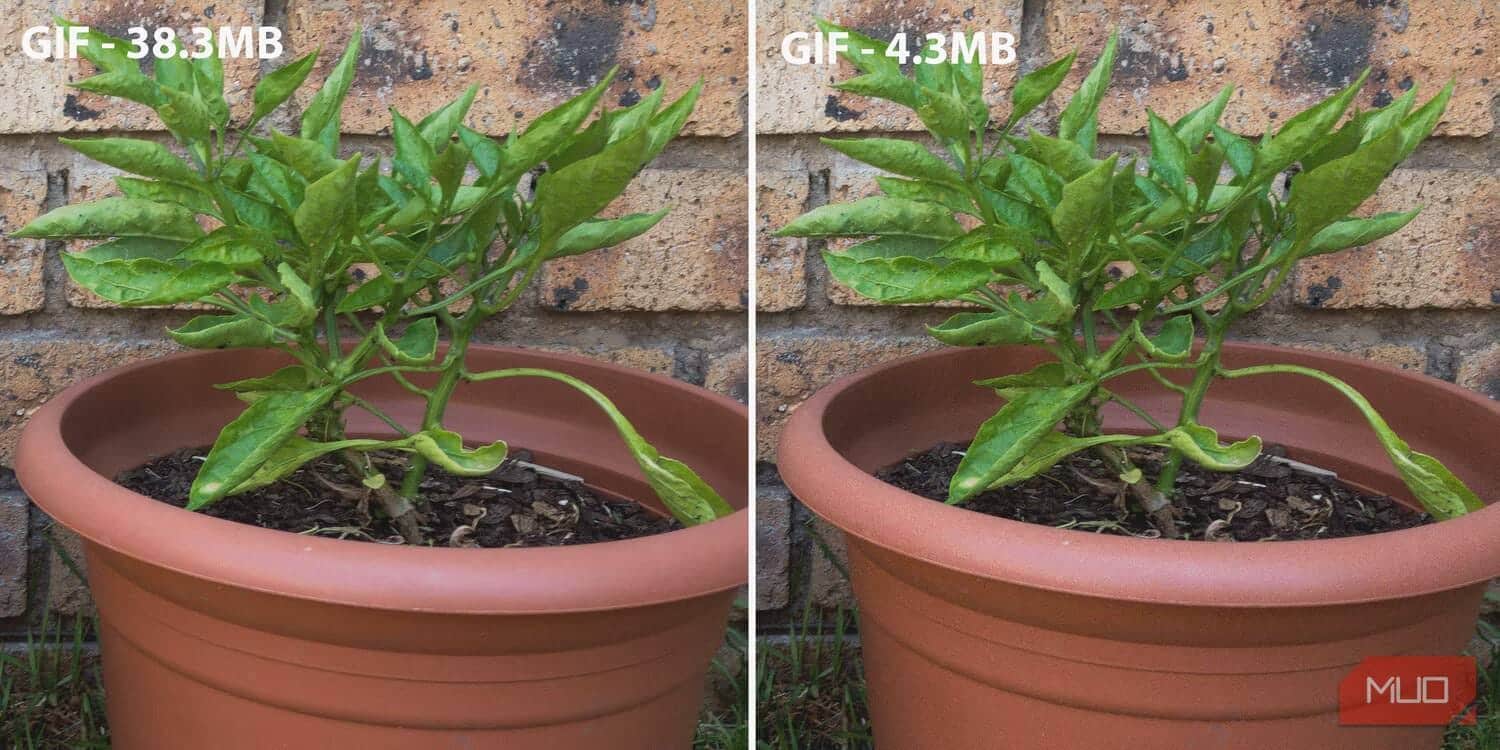 صورة لـ اختيار التنسيق الأمثل بين JPEG، GIF، و PNG: شرح أنواع ملفات الصور واختبارها | 1-OX25u54ZIINPfDgQyUIkg-DzTechs