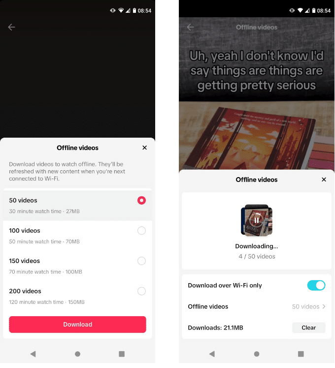 صورة لـ كيفية مشاهدة فيديوهات TikTok دون اتصال للاستمتاع بالمُحتوى دون حاجة للإنترنت | 10BqXKQCN_y5GiCUxoq3pRg-DzTechs