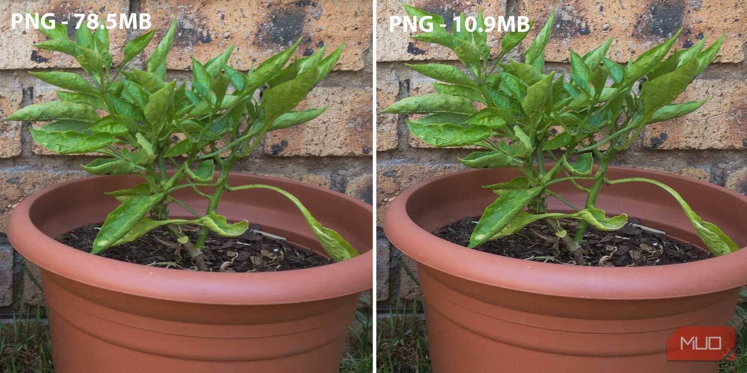 صورة لـ اختيار التنسيق الأمثل بين JPEG، GIF، و PNG: شرح أنواع ملفات الصور واختبارها | 12T2ezlCZWVz7F-VZhQN47A-DzTechs